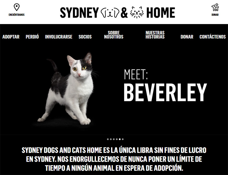 Sydney Dogs and Cats Home